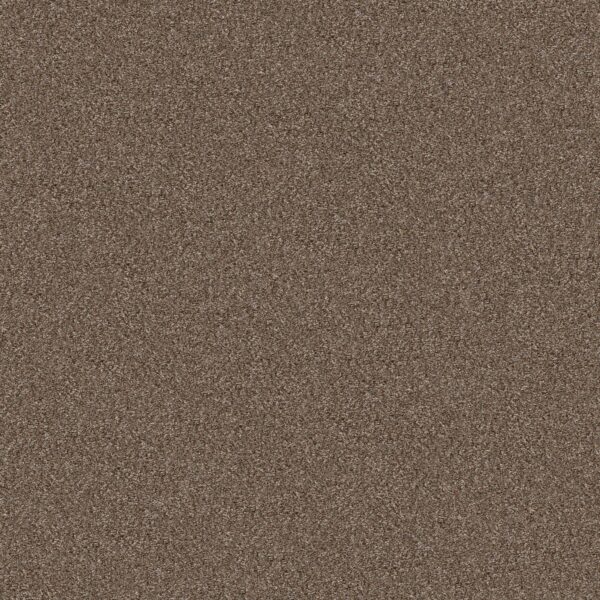 Shaw Floors Carpet Yes You Can III 12' Worn Path 00700_5E570