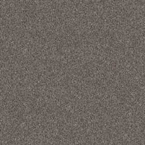 Shaw Floors Carpet Yes You Can I 15' Marble 00103_5E571