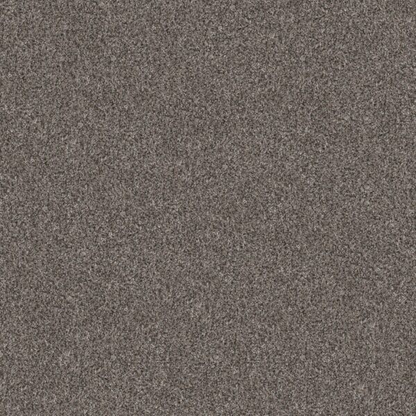 Shaw Floors Carpet Yes You Can I 15' Marble 00103_5E571