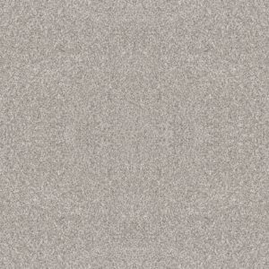 Shaw Floors Carpet Yes You Can I 15' Frozen 00107_5E571