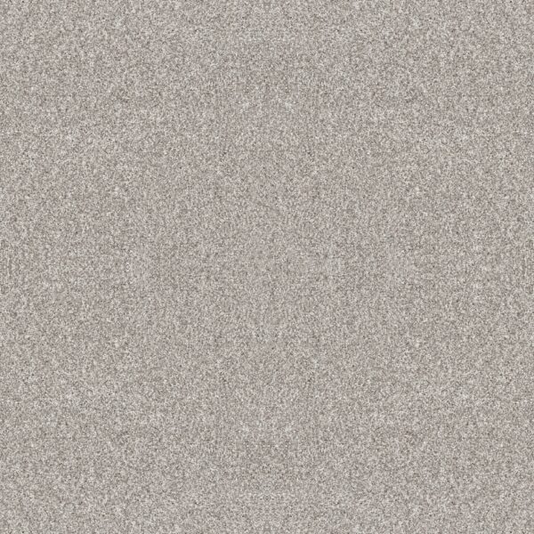 Shaw Floors Carpet Yes You Can I 15' Frozen 00107_5E571