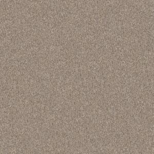 Shaw Floors Carpet Yes You Can I 15' Natural 00109_5E571