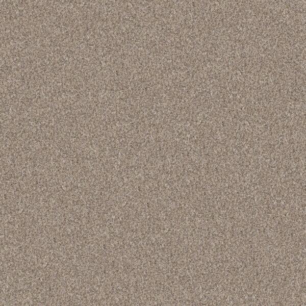 Shaw Floors Carpet Yes You Can I 15' Natural 00109_5E571