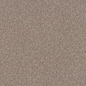 Shaw Floors Carpet Yes You Can I 15' Glacier 00110_5E571