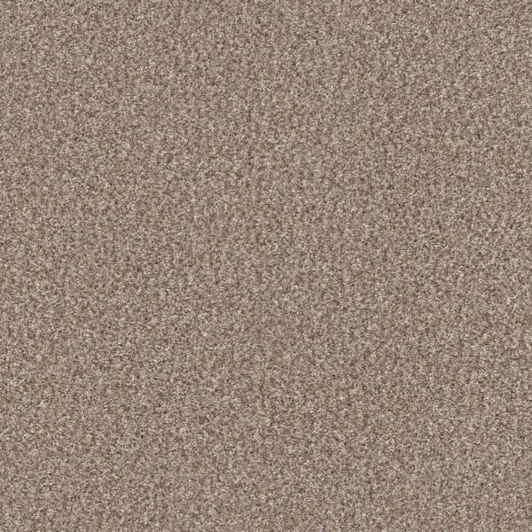 Shaw Floors Carpet Yes You Can I 15' Glacier 00110_5E571