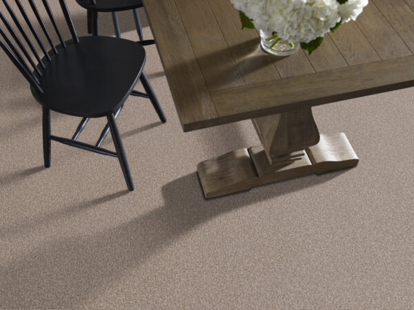 Shaw Floors Carpet Yes You Can I 15' Glacier 00110_5E571 - Image 2