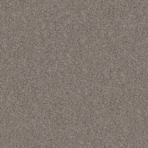 Shaw Floors Carpet Yes You Can I 15' Chic Greige 00111_5E571