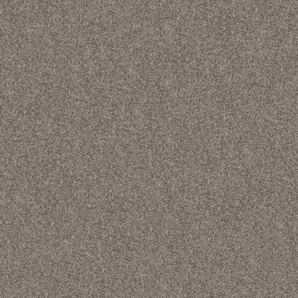 Shaw Floors Carpet Yes You Can I 15' Chic Greige 00111_5E571