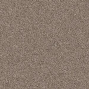 Shaw Floors Carpet Yes You Can I 15' Cameo 00113_5E571