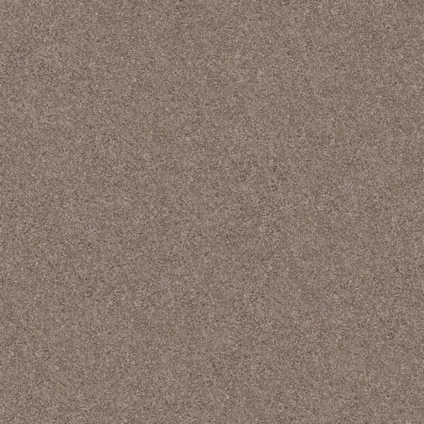 Shaw Floors Carpet Yes You Can I 15' Cameo 00113_5E571