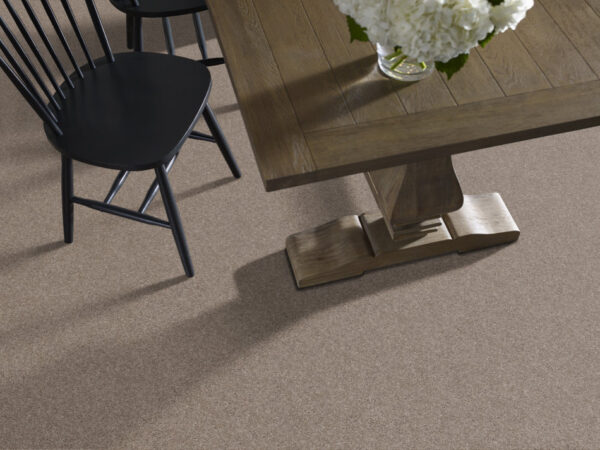 Shaw Floors Carpet Yes You Can I 15' Cameo 00113_5E571 - Image 2