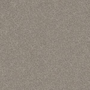 Shaw Floors Carpet Yes You Can I 15' Sculpture 00115_5E571