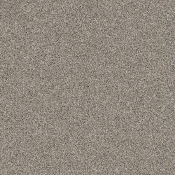 Shaw Floors Carpet Yes You Can I 15' Sculpture 00115_5E571