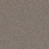 Shaw Floors Carpet Yes You Can I 15' Warm Light 00116_5E571