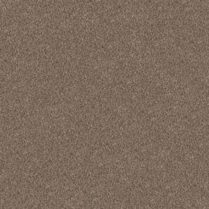 Shaw Floors Carpet Yes You Can I 15' Honeycomb 00207_5E571