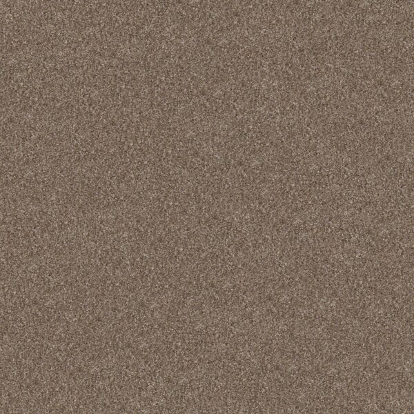 Shaw Floors Carpet Yes You Can I 15' Honeycomb 00207_5E571