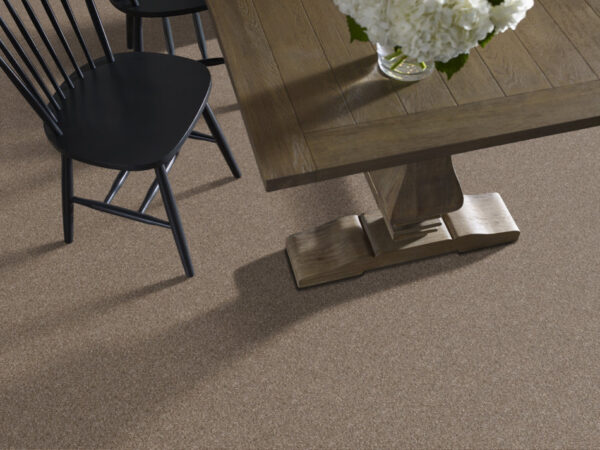 Shaw Floors Carpet Yes You Can I 15' Honeycomb 00207_5E571 - Image 2