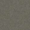 Shaw Floors Carpet Yes You Can I 15' Rerooted Nature 00300_5E571