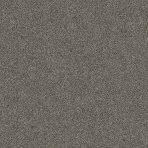 Shaw Floors Carpet Yes You Can I 15' Rerooted Nature 00300_5E571