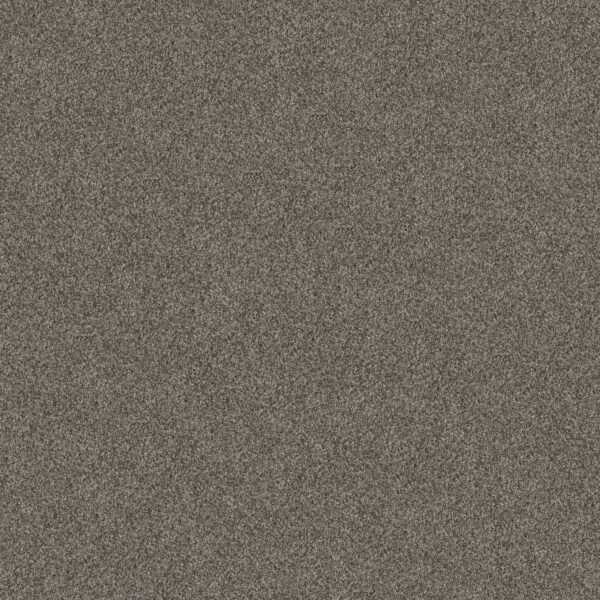 Shaw Floors Carpet Yes You Can I 15' Rerooted Nature 00300_5E571