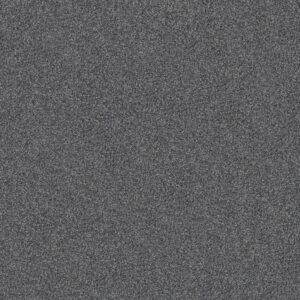 Shaw Floors Carpet Yes You Can I 15' Refined 00402_5E571