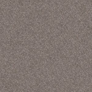 Shaw Floors Carpet Yes You Can I 15' Alaskan Air 00500_5E571