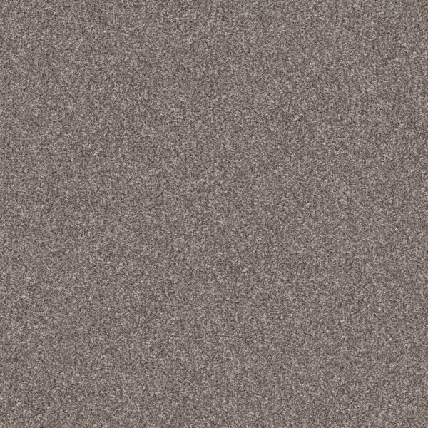 Shaw Floors Carpet Yes You Can I 15' Alaskan Air 00500_5E571