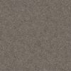 Shaw Floors Carpet Yes You Can I 15' Ashes 00501_5E571
