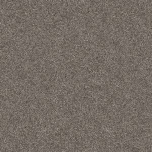 Shaw Floors Carpet Yes You Can I 15' Ashes 00501_5E571