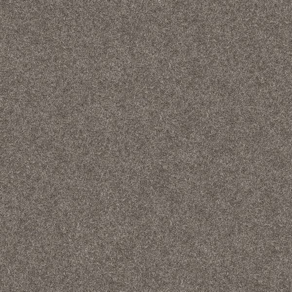 Shaw Floors Carpet Yes You Can I 15' Ashes 00501_5E571