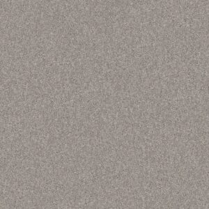Shaw Floors Carpet Yes You Can I 15' Rock Crystal 00508_5E571