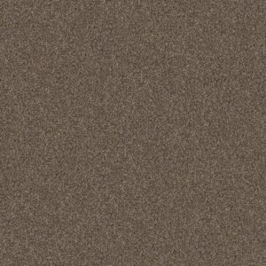 Shaw Floors Carpet Yes You Can I 15' Mission Ridge 00705_5E571