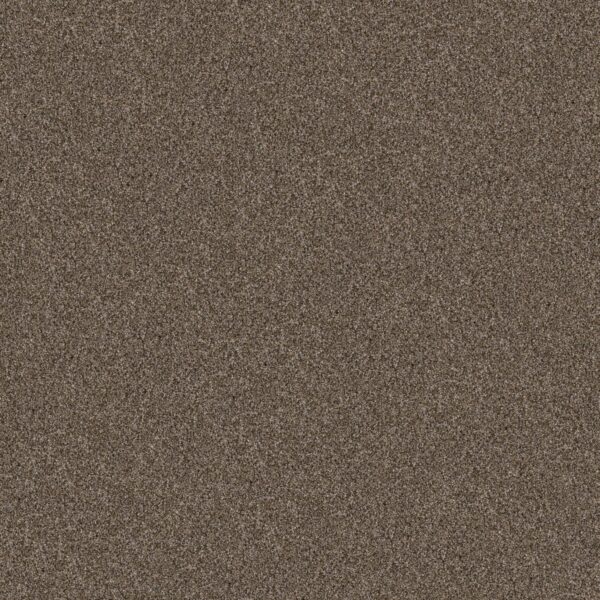 Shaw Floors Carpet Yes You Can I 15' Mission Ridge 00705_5E571