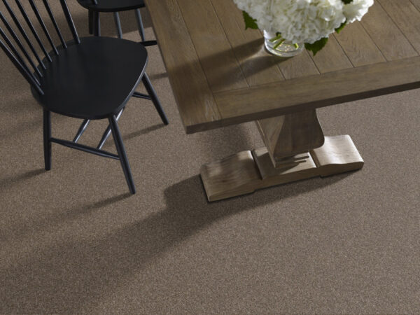 Shaw Floors Carpet Yes You Can I 15' Mission Ridge 00705_5E571 - Image 2