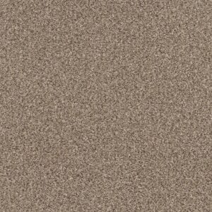Shaw Floors Carpet Yes You Can III 15' Sea Shell 00100_5E573