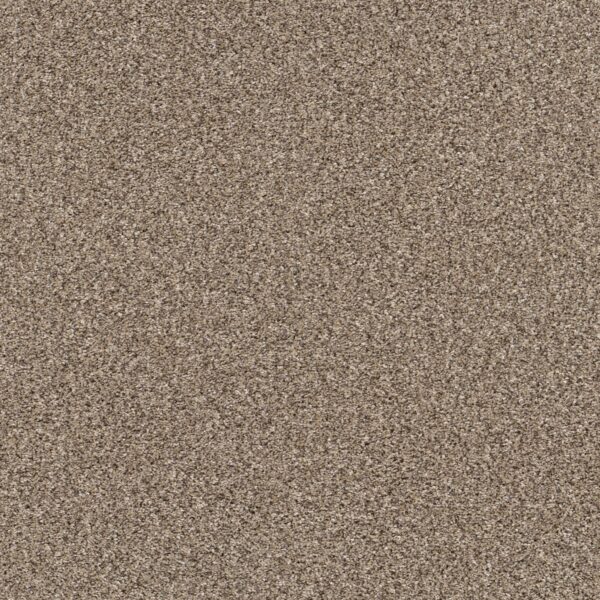 Shaw Floors Carpet Yes You Can III 15' Sea Shell 00100_5E573