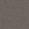Shaw Floors Carpet Yes You Can III 15' Marble 00103_5E573
