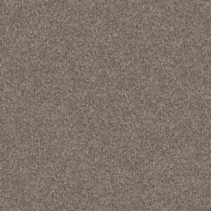 Shaw Floors Carpet Yes You Can III 15' Soft Sense 00112_5E573