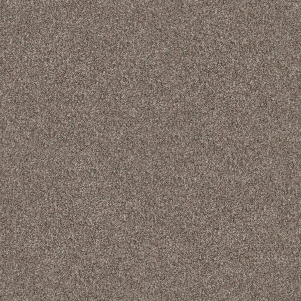 Shaw Floors Carpet Yes You Can III 15' Soft Sense 00112_5E573