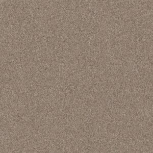 Shaw Floors Carpet Yes You Can III 15' Subtle Clay 00114_5E573