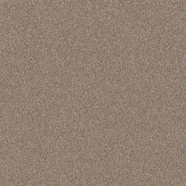 Shaw Floors Carpet Yes You Can III 15' Subtle Clay 00114_5E573