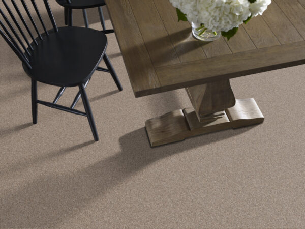 Shaw Floors Carpet Yes You Can III 15' Subtle Clay 00114_5E573 - Image 2