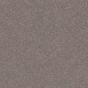 Shaw Floors Carpet Yes You Can III 15' Warm Light 00116_5E573