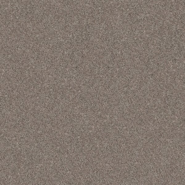 Shaw Floors Carpet Yes You Can III 15' Warm Light 00116_5E573