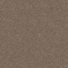 Shaw Floors Carpet Yes You Can III 15' Honeycomb 00207_5E573