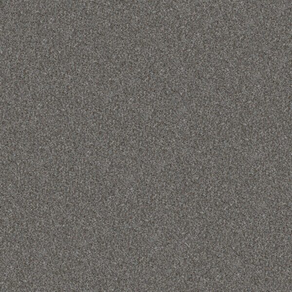Shaw Floors Carpet Yes You Can III 15' Sea Ice 00403_5E573