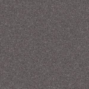 Shaw Floors Carpet Yes You Can III 15' Shadow 00502_5E573