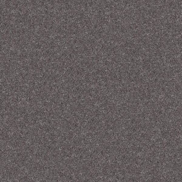 Shaw Floors Carpet Yes You Can III 15' Shadow 00502_5E573