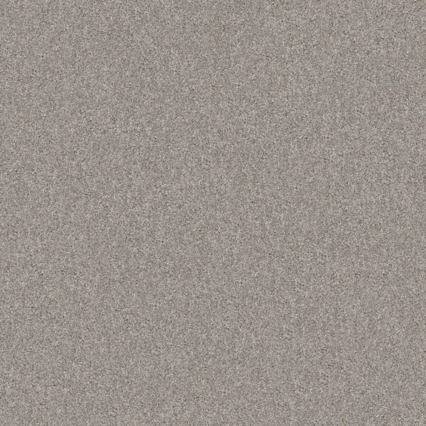Shaw Floors Carpet Yes You Can III 15' Rock Crystal 00508_5E573