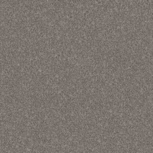 Shaw Floors Carpet Yes You Can III 15' Vintage 00509_5E573